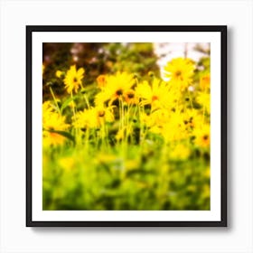 Hazy Yellow FLowers Art Print