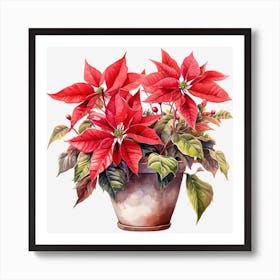 Poinsettia 38 Art Print