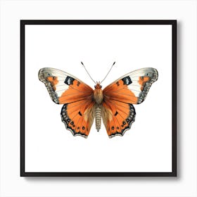 Butterfly 35 Art Print