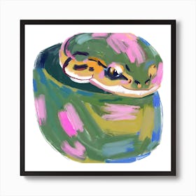 Ball Python Snake 05 Art Print