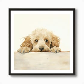 Poodle Dog 3 Art Print