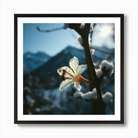 Bee On A Flower Art Print