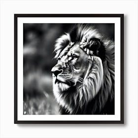 Lion art 82 Art Print