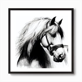 Horse Head Drawing 3 Art Print