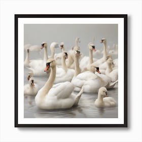 Swans 8 Art Print