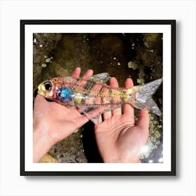 Plastic Fish Art Print