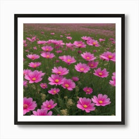 Pink Cosmos Poster