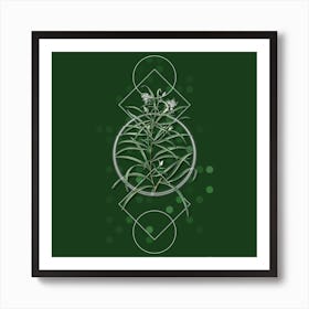 Vintage Narrow Leaved Spider Flower Botanical with Geometric Line Motif and Dot Pattern Art Print