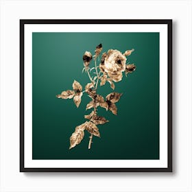 Gold Botanical Provence Rose on Dark Spring Green n.2346 Art Print