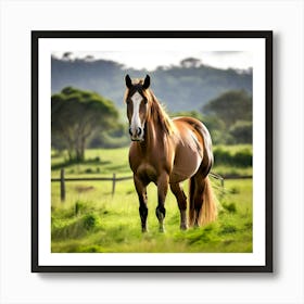 Horse In A Field 14 Art Print