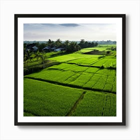 Grow Plant Green Background Field Aerial Landscape Pattern Agriculture Grass Harvesting C (6) Art Print