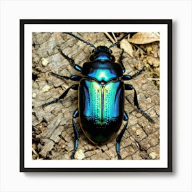 Beetle 13 Art Print