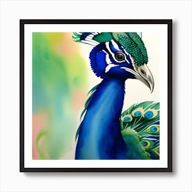 Peacock Art 1 Art Print