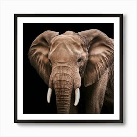 Elephant Tusks 1 Art Print