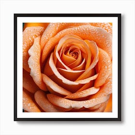 Orange Rose Art Print