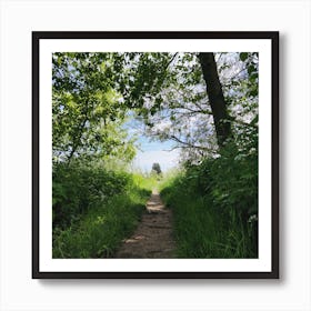 Path Through The Woods Art Print