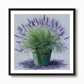 Lavender In A Pot Art Print