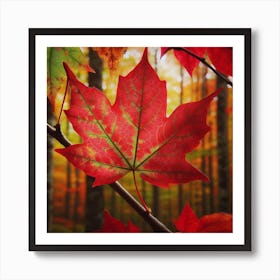 A red maple leaf 2 Art Print