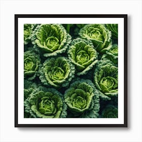 Cabbages 2 Art Print