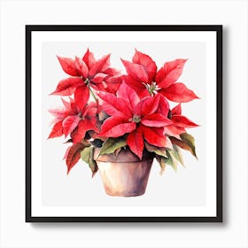 Poinsettia 1 Art Print