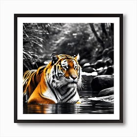 Tiger In Water 4 Art Print