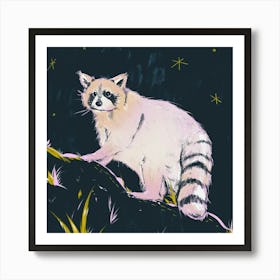 Raccoon At Night Art Print