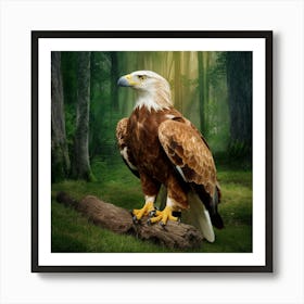 Eagle In The Forest Art Print