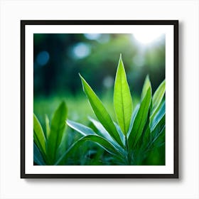 Ecology Plant Green Nature Garden Flora Fresh Leaf Summer Natural Environment Spring Gra (1) Art Print