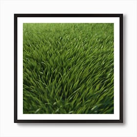 Green Grass 45 Art Print