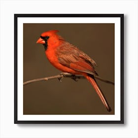 Cardinal Perched On A Branch Art Print