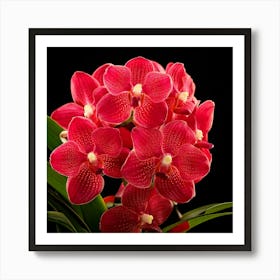 Firefly Vibrant Explosion Of Red Orchids In Full Bloom 99890 Art Print