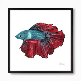 Beta Fish. 1 Art Print