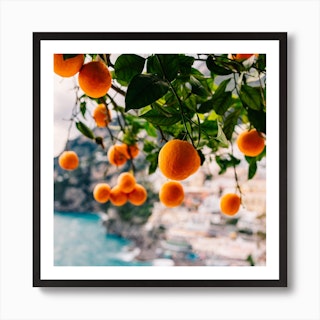 Amalfi Coast Oranges Art Print