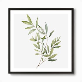 Eucalyptus Branch Art Print