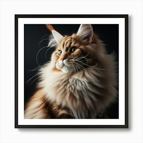 Portrait Of A Coon Cat Art Print