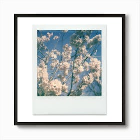 Polaroid Cherry Blossom 04 Art Print