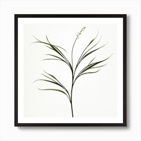 plant minimalist 9 Art Print