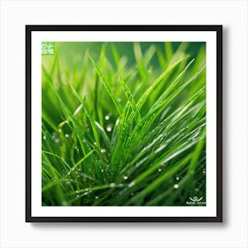 Green Grass 27 Art Print
