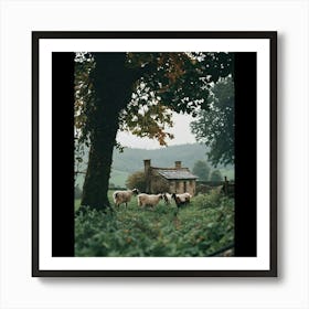 Sheep In A Field Art Print