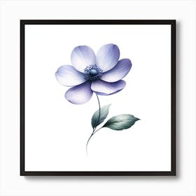 Anemone Flower Art Print