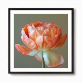 Tulip 1 Art Print