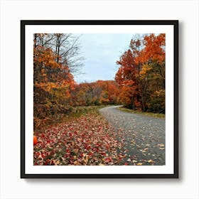 A Crisp American Autumn Scene Unfolds Embodying The Quiet Beauty Of A Fall Nature Trail Transitioni (5) Art Print