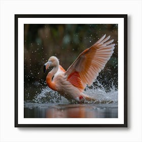 Flamingo 36 Art Print