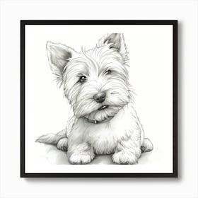 West Highland Terrier 2 Art Print