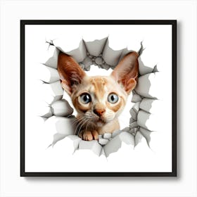 Sphynx Cat Art Print