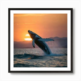 Humpback Whale Breaching At Sunset 10 Art Print