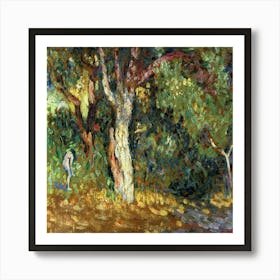 Olive Tree By Claude Monet Póster