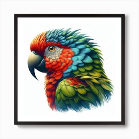 Parrot 1 Art Print