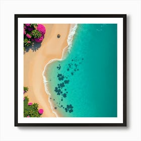 Aerial View Of A Tropical Beach Art Print