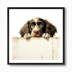 Spaniel Boykin 3 Art Print